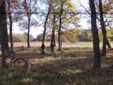 Kerékpárral a Hencidai csere erdőben.2013.10.23.. - 20140316_205956_29_szirtse.jpg
