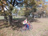 Kerékpárral a Hencidai csere erdőben.2013.10.23.. - 20140316_210058_64_szirtse.jpg