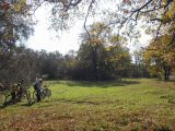 Kerékpárral a Hencidai csere erdőben.2013.10.23.. - 20140316_210325_60_szirtse.jpg