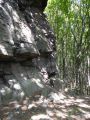 Sziklamászás Sólyom-kő andezit falain 2016.06.20. - 20170206_091344_36_szirtse.jpg