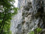 Veszprémi mászók a Körösrévi" Szürkefalaknál"  2009. - 20120226_133212_17_szirtse.jpg