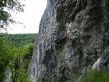 Veszprémi mászók a Körösrévi" Szürkefalaknál"  2009. - 20120226_133226_39_szirtse.jpg