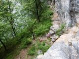 Veszprémi mászók a Körösrévi" Szürkefalaknál"  2009. - 20120226_133258_89_szirtse.jpg