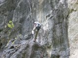 Veszprémi mászók a Körösrévi" Szürkefalaknál"  2009. - 20120226_133335_35_szirtse.jpg