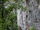 Veszprémi mászók a Körösrévi" Szürkefalaknál"  2009. - 20120226_133345_62_szirtse.jpg