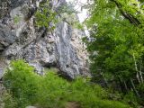 Veszprémi mászók a Körösrévi" Szürkefalaknál"  2009. - 20120226_133348_31_szirtse.jpg